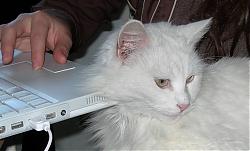 Beswitchingly Positive's Avatar