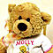 Molly's Avatar